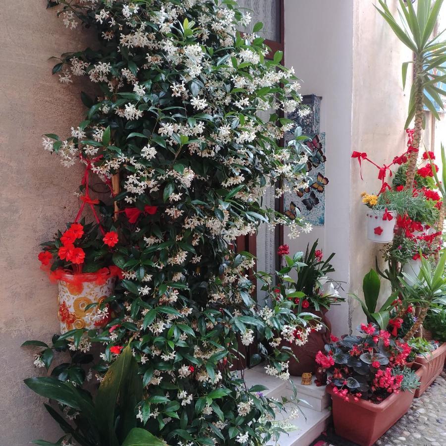 Affittacamere Rosa Dei Venti Levanto Exterior foto